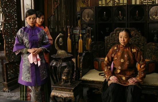 鐵梨花最新更新，日常生活中的趣事與情感紐帶