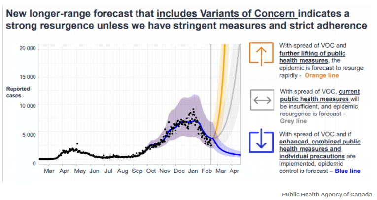 約克最新疫情動(dòng)態(tài)，學(xué)習(xí)變化中的自信與成就力量