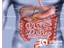 高科技產(chǎn)品重塑生活，體驗(yàn)前沿魅力，探索腸鳴最新技術(shù)