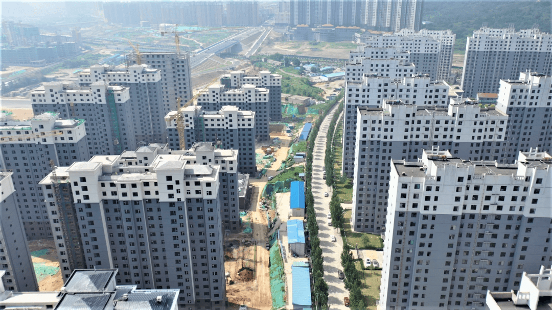 陽泉疫情最新動態(tài)及應對指南，初學者與進階用戶必備知識