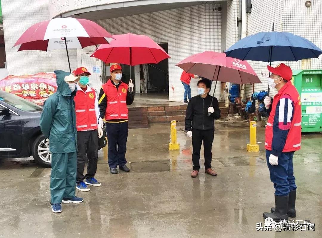 石碣最新疫情動態(tài)，變化中的學(xué)習(xí)，鑄就未來力量