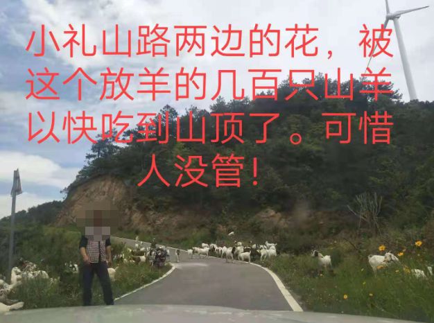 大悟最新路，探索未知，自信成就夢想之旅的啟程