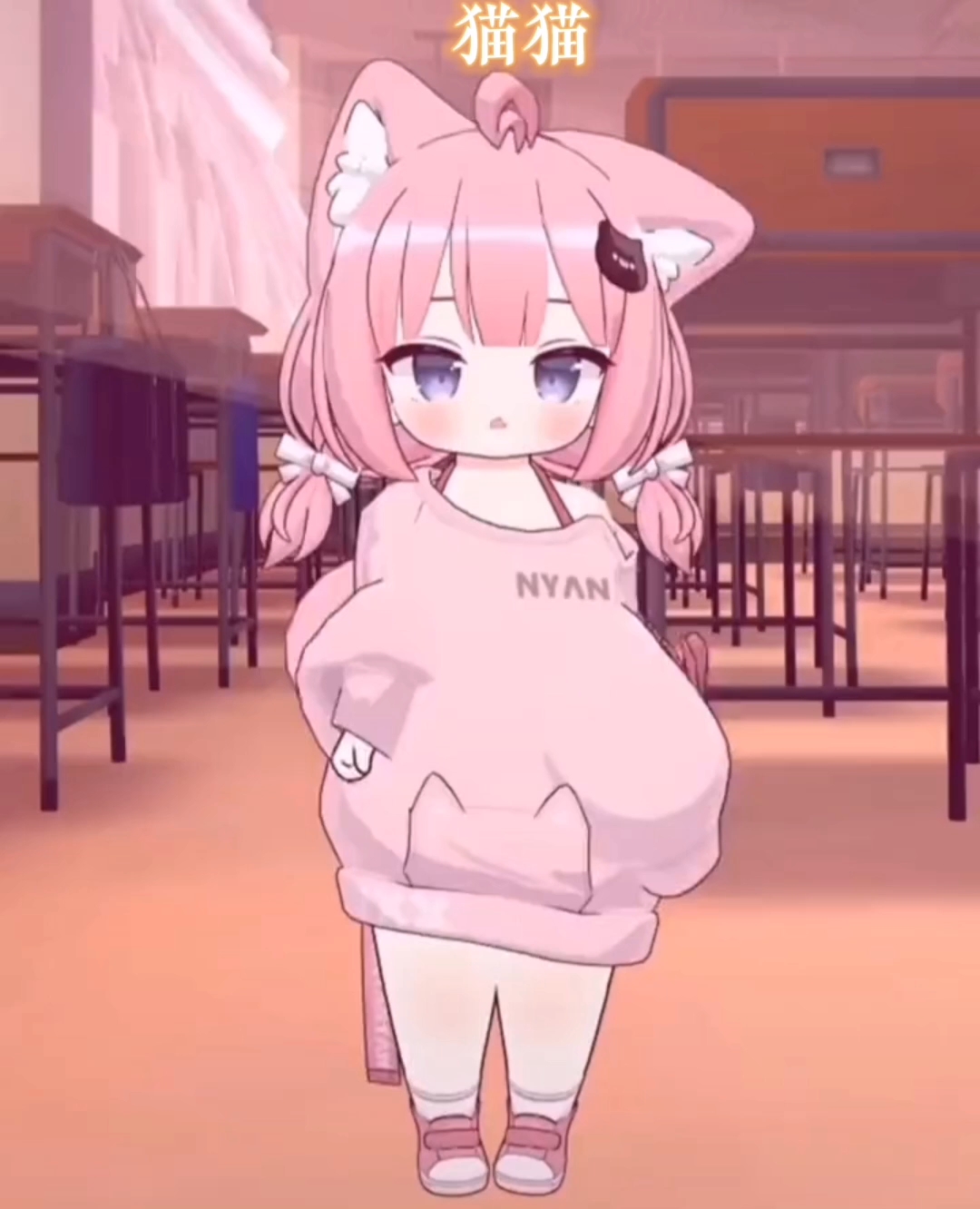 貓妹妹最新動(dòng)態(tài)，萌態(tài)盡顯，溫暖你的心??