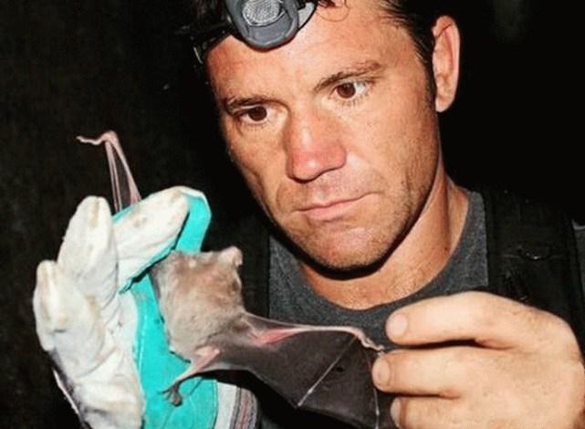 蝙蝠最新電影，自信與成長的翅膀，勵志翱翔天空之旅