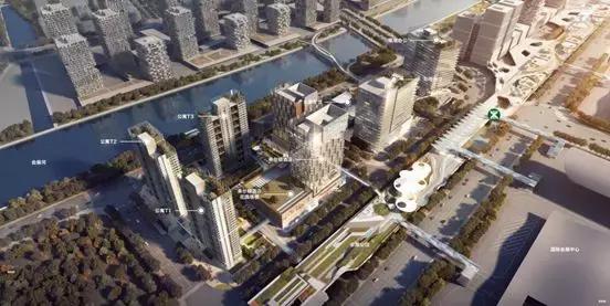 新中港最新動態(tài)，時代的新航標已啟航