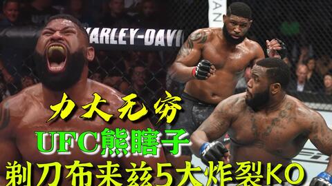 小菊最新比賽，友誼與夢想的絢爛綻放