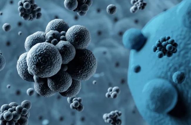 病毒擴散最新情況，自然探險之旅尋求內心平和之地