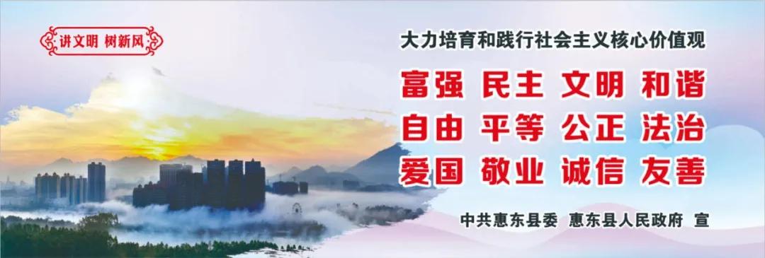 惠州肺炎最新動(dòng)態(tài)，小巷深處的獨(dú)特小店背后的故事