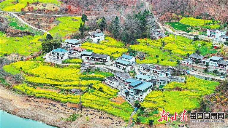 揭秘文縣，歷史背景、重大事件與時代地位全景展示