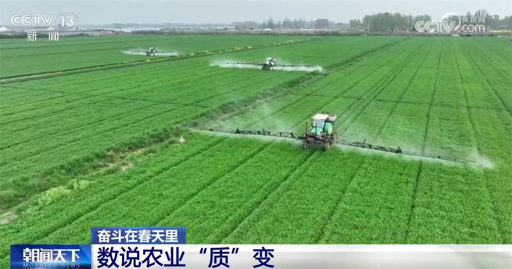 最新農(nóng)業(yè)農(nóng)村發(fā)展，播種希望，收獲自信與成就感