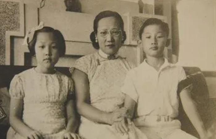 自然之旅的心靈覺醒，最新小說(shuō)名揭曉