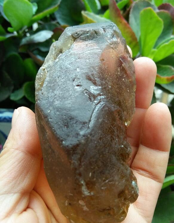 最新鑒定法，揭示友情的印記與家的溫馨