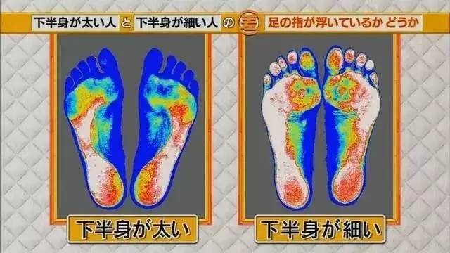 最新地趾論述，探索、爭議與觀點(diǎn)綜述
