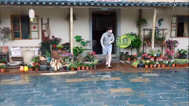 最新蘑菇屋，自然與生活完美融合的夢(mèng)幻之地