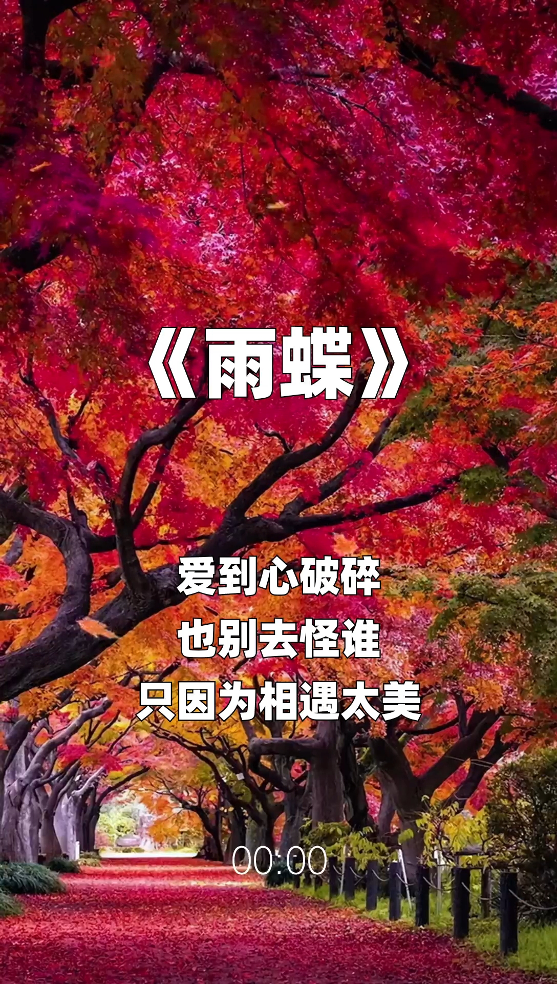 雨蝶最新步驟指南，如何完成任務(wù)或?qū)W習(xí)技能？