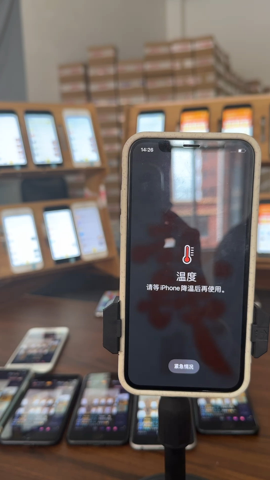 蘋(píng)果最新直播，科技與文化的完美融合盛宴