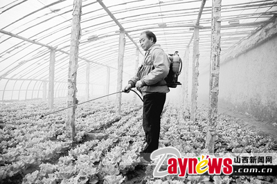 最新農(nóng)藥抽檢結(jié)果出爐，守護(hù)農(nóng)田安全，你我他的共同責(zé)任