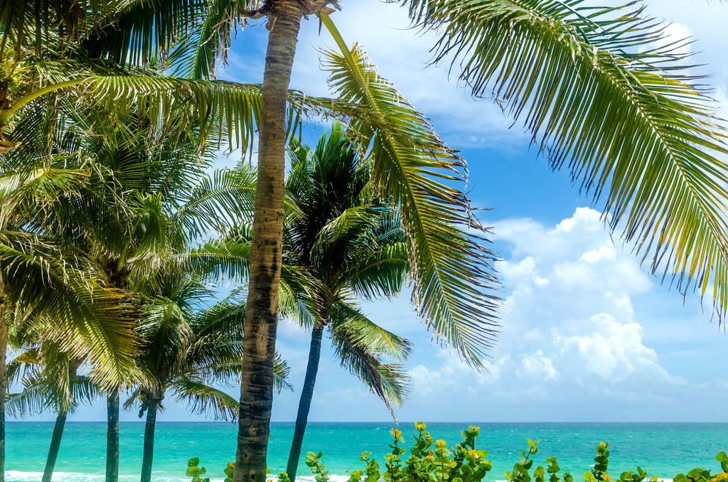 科技重塑旅行體驗，最新付費機場概覽