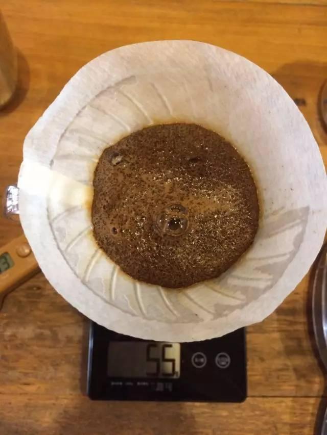 最新萃取法詳解，步驟指南與操作技巧