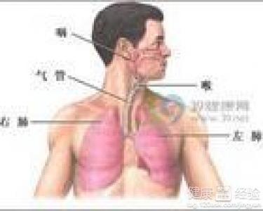 咸豐肺炎最新全面指南與詳解，癥狀、治療、步驟解析