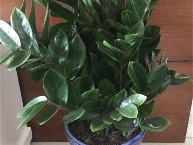 工程廠房燈具 第59頁(yè)