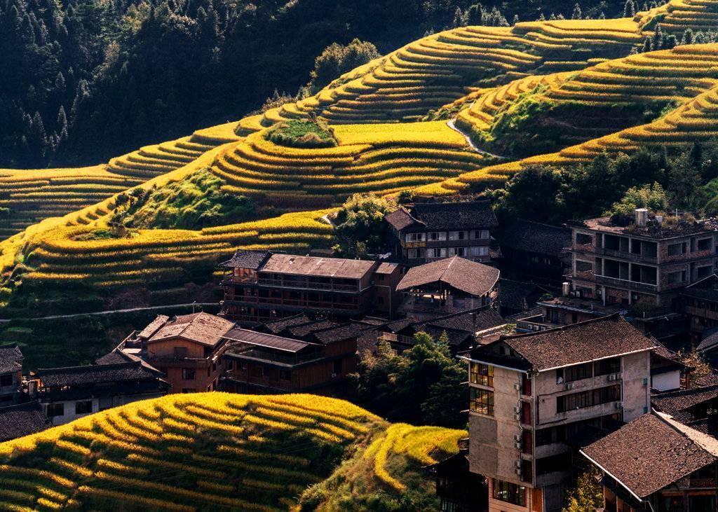 金秋天最新時(shí)尚潮流，獨(dú)特風(fēng)情展現(xiàn)魅力風(fēng)采