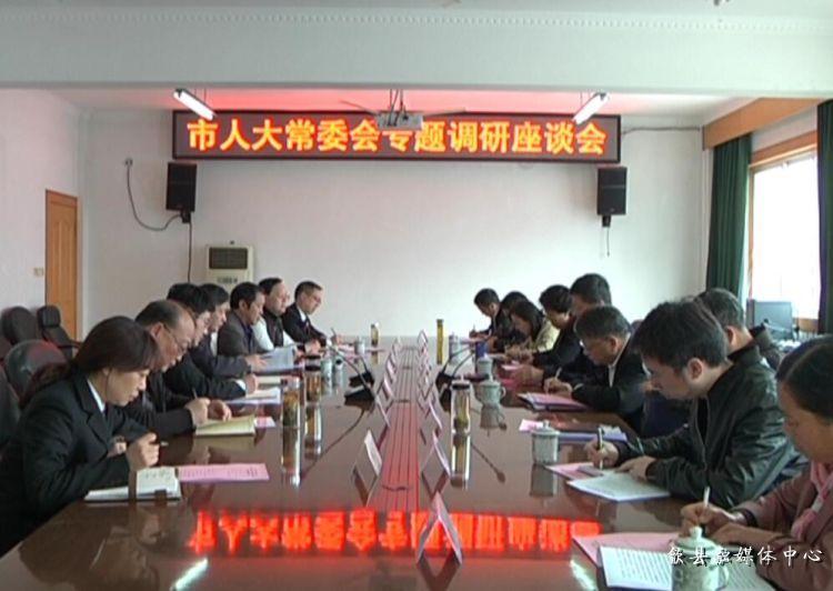 安徽歙縣最新動(dòng)態(tài)，小巷深處的驚喜