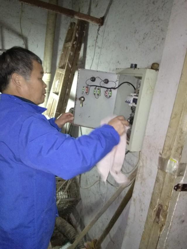 化糞池最新事件，心靈與自然的奇妙之旅