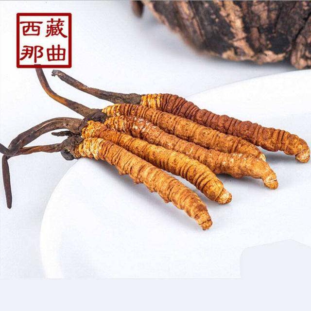 揭秘2025年蟲草最新價格，探尋小巷中的秘密行情！