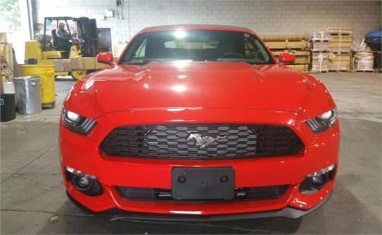 威路德最新款，小巷中的驚喜發(fā)現(xiàn)