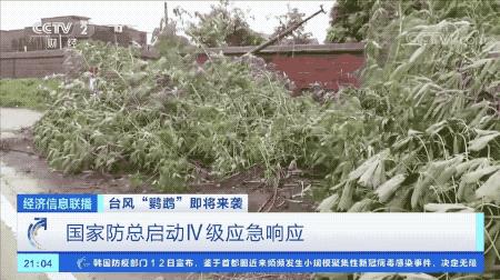 超強臺風(fēng)鸚鵡來襲，最新路徑動態(tài)全解析???