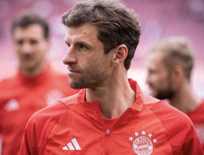 慕尼黑最新動(dòng)態(tài)，城市生活的溫馨日常