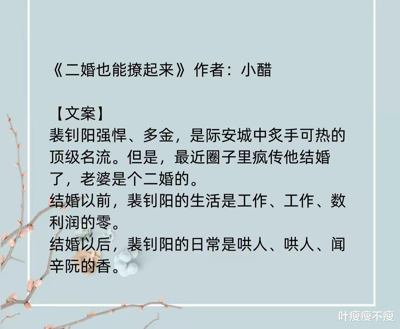 最新二婚小說，小巷深處的浪漫故事