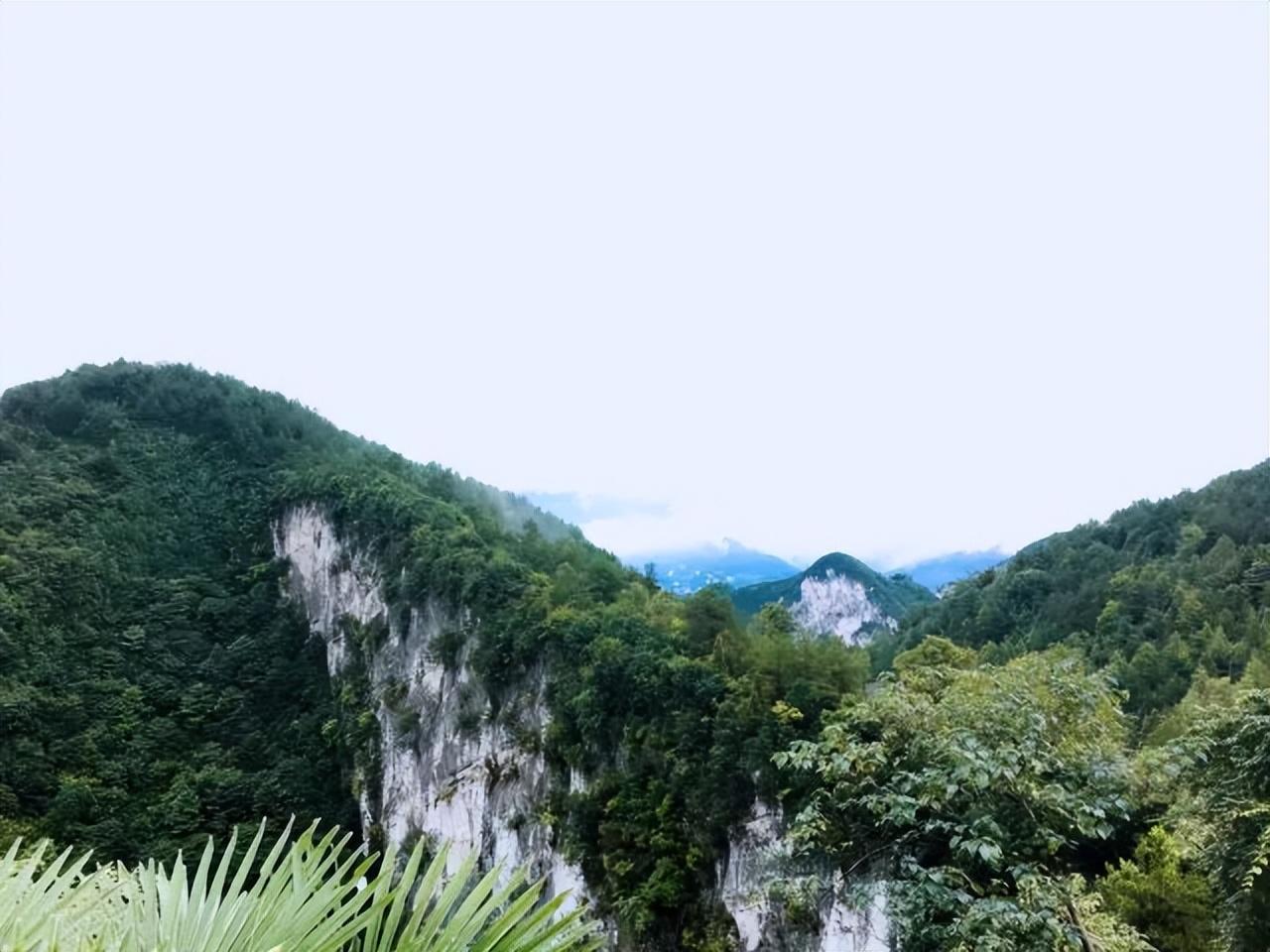 揭秘重慶仙女山最新魅力與風光??